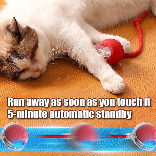 Automatic rolling ball smart - automatic,