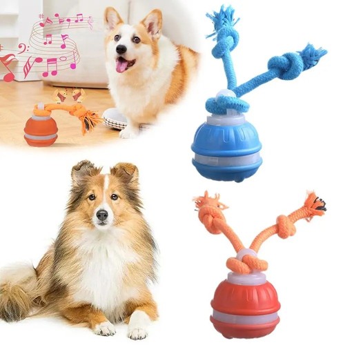 Automatic moving pets dog ball - pets,
