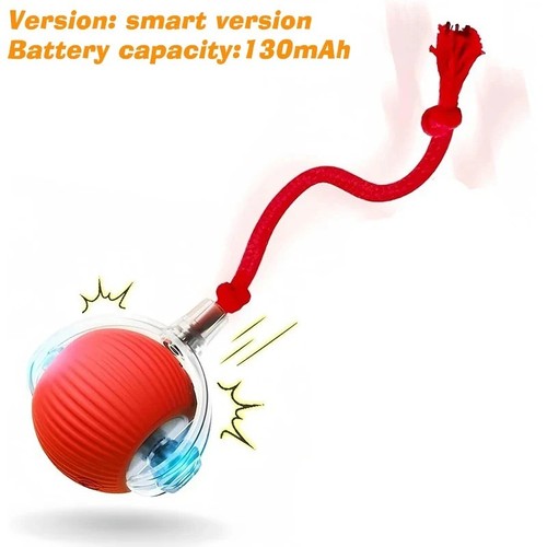 Smart automaic rolling ball - smart,