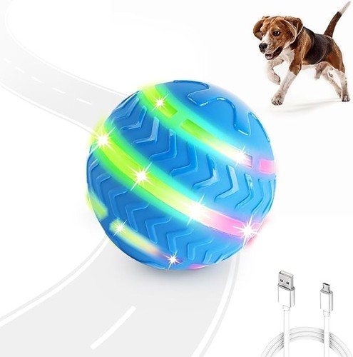 All for paws - interactive, dog