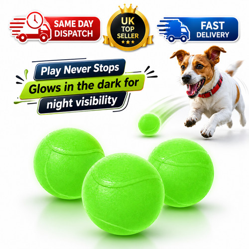 Pack dog play ball glow - 3,