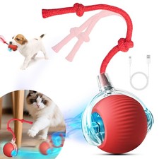 Automatic Rolling Ball Smart