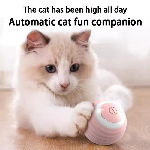 Rolling ball smart pet toy - smart,