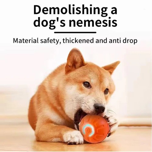 Smart dog toy ball automatic - smart,