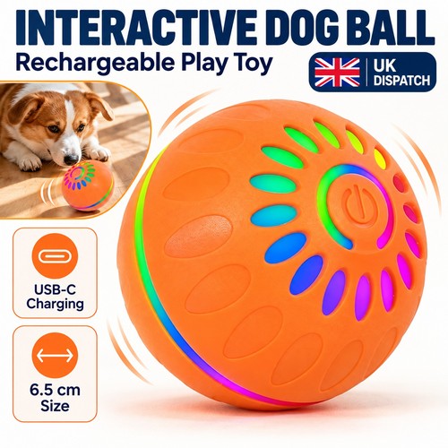 Automatic moving dog - moving, ball
