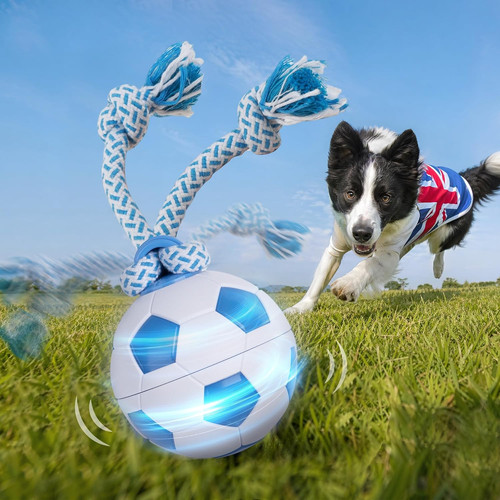 Interactive dog toys - interactive, self