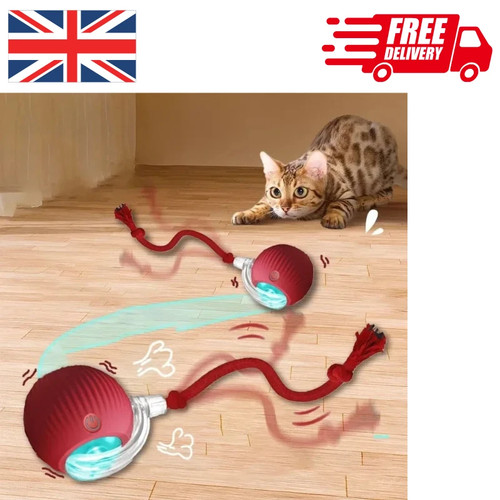 Interactive dog cat - &,