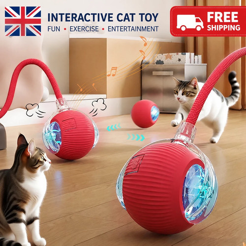 Automatic rolling ball - rolling, smart