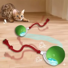 Automatic Rolling Ball Smart