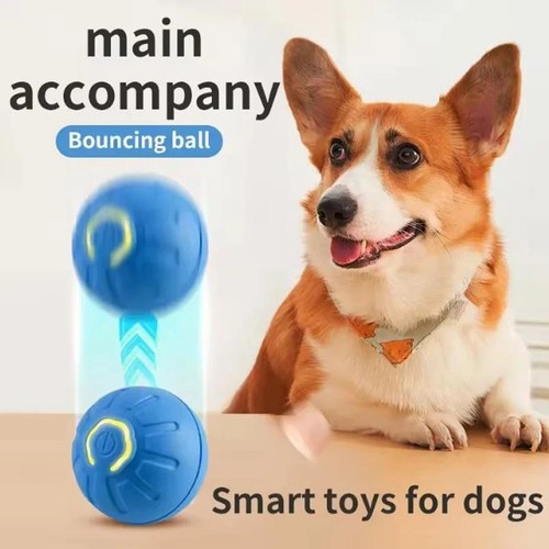 Smart interactive dog toy - interactive,