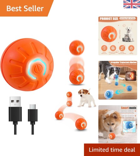 Engaging electric dog ball - electric,