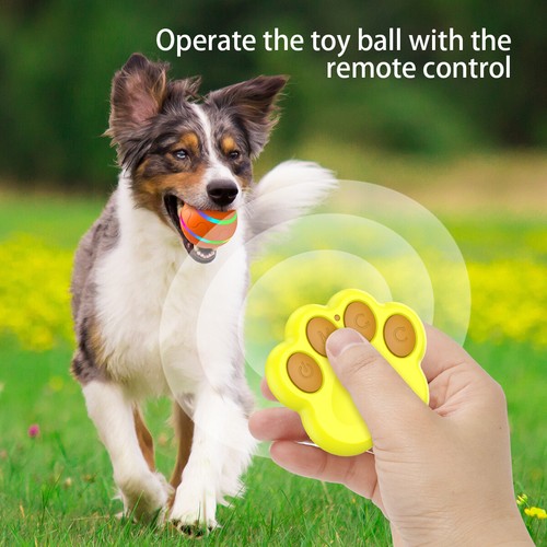 Interactive dog ball toy - interactive,